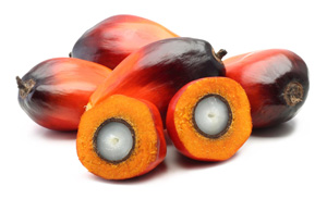 We only source palm oil from well established plantations